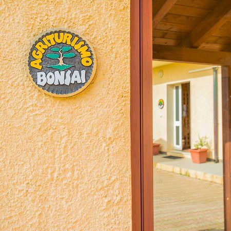 Bonsai B&B Alghero Santa Maria la Palma Exterior photo